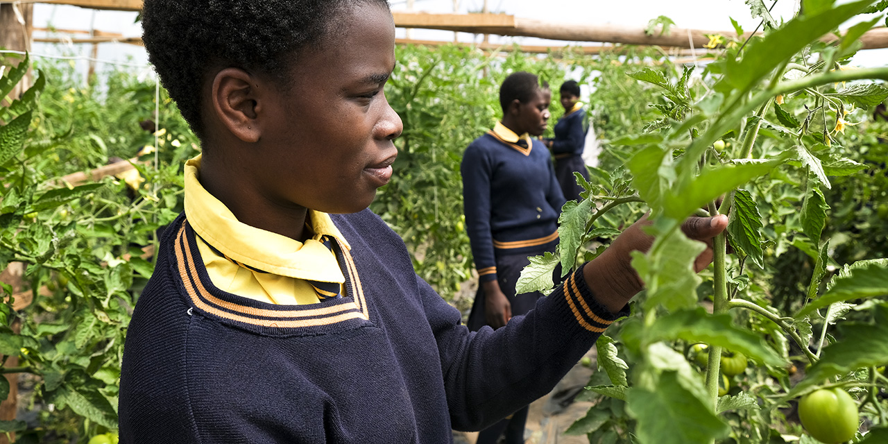 Image of Kuwala Student in the Greenhouse