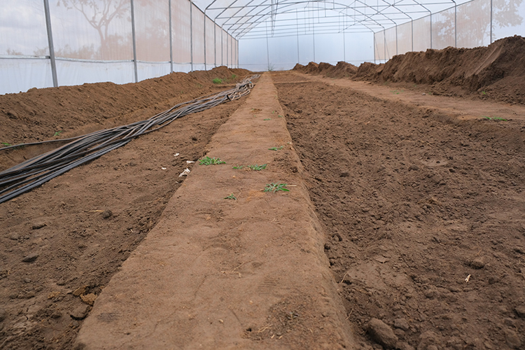 The greenhouse framework is up and ready for planting.