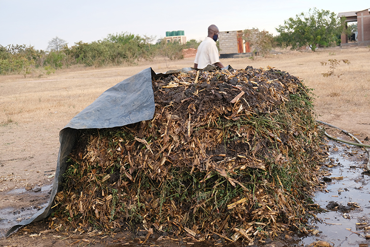 The compost pile has just the right amount of moisture added. 