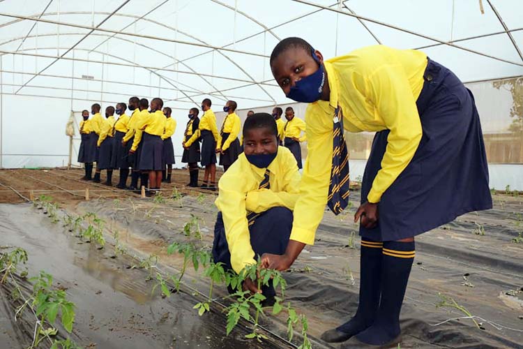 Group of Kuwala students tending plants in the greenhouse.