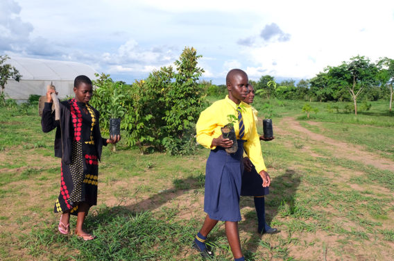 Kuwala students carrying seedlings for planting just outside the greenhouse