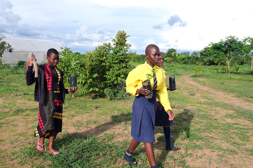 Kuwala students carrying seedlings for planting just outside the greenhouse