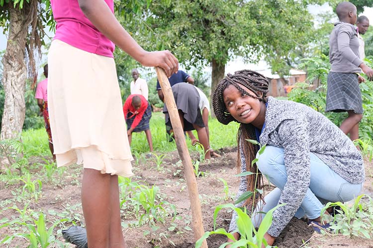 Shira Bongera kneeing down planting a tree and looking up at student.