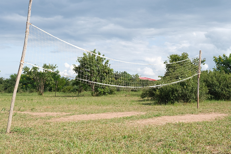 Volleyball netting in field