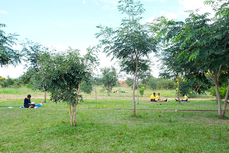 Kuwala girls studing by the shade of trees at the Campus.