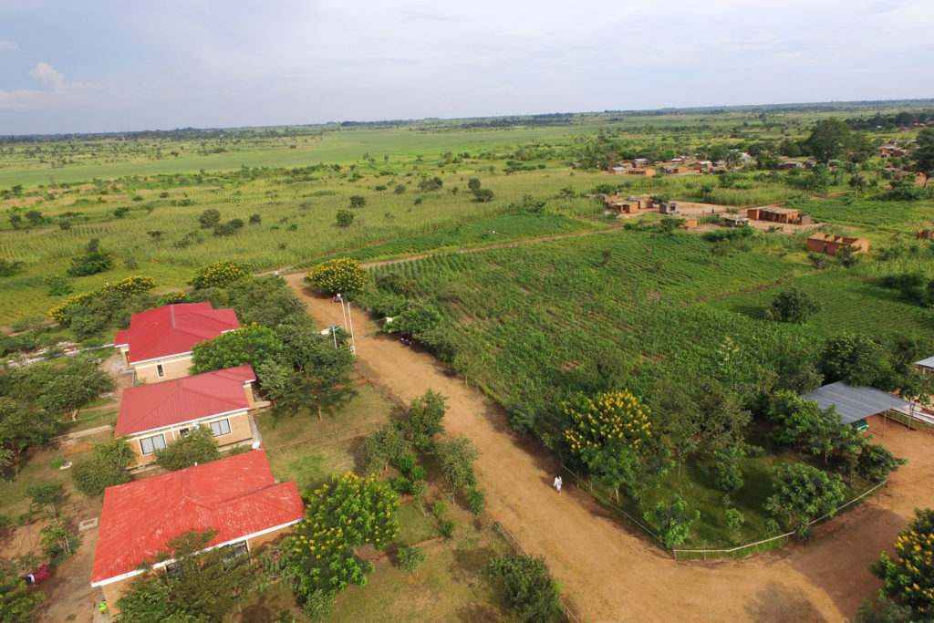 Aerial view of the Kuwala Campus showing the red roofs of the staff housing and the greening of the regenerative argicultural spaces.