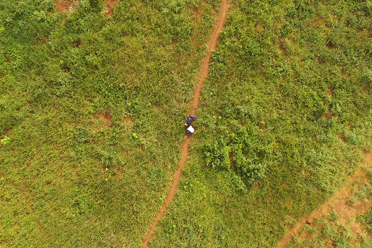 Overhead shot of newly purchase farm land. 