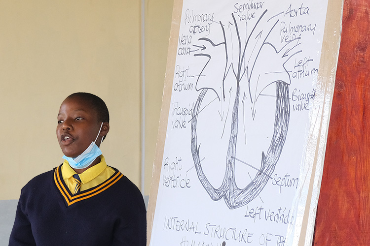 Student beside heart poster that is hand drawn showing the internal structure with labels indicating the parts.