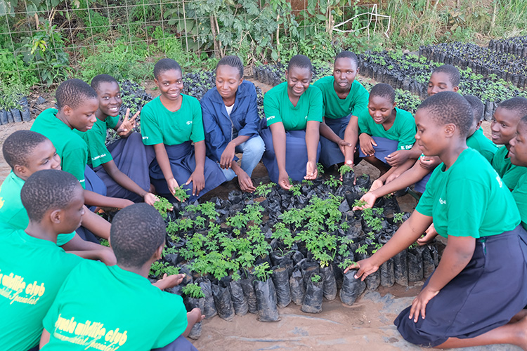 Teacher in the middle setting down on the group with a group of students gathered around a bunch of  tree seedlings. 