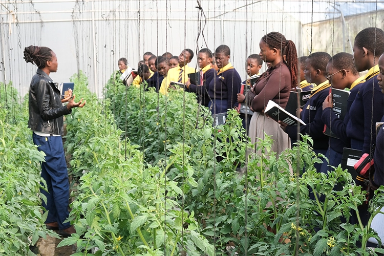 Students and teacher in the Kuwala greenhouse.