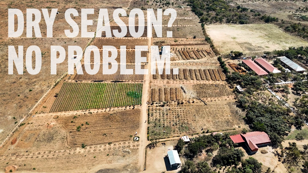 Overhead drone shot of the farm showing that crops are growing in the field with irrigation. There are words in the image that say, "Dry Season? No Problem
