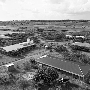 Ariel overview of Kuwala.