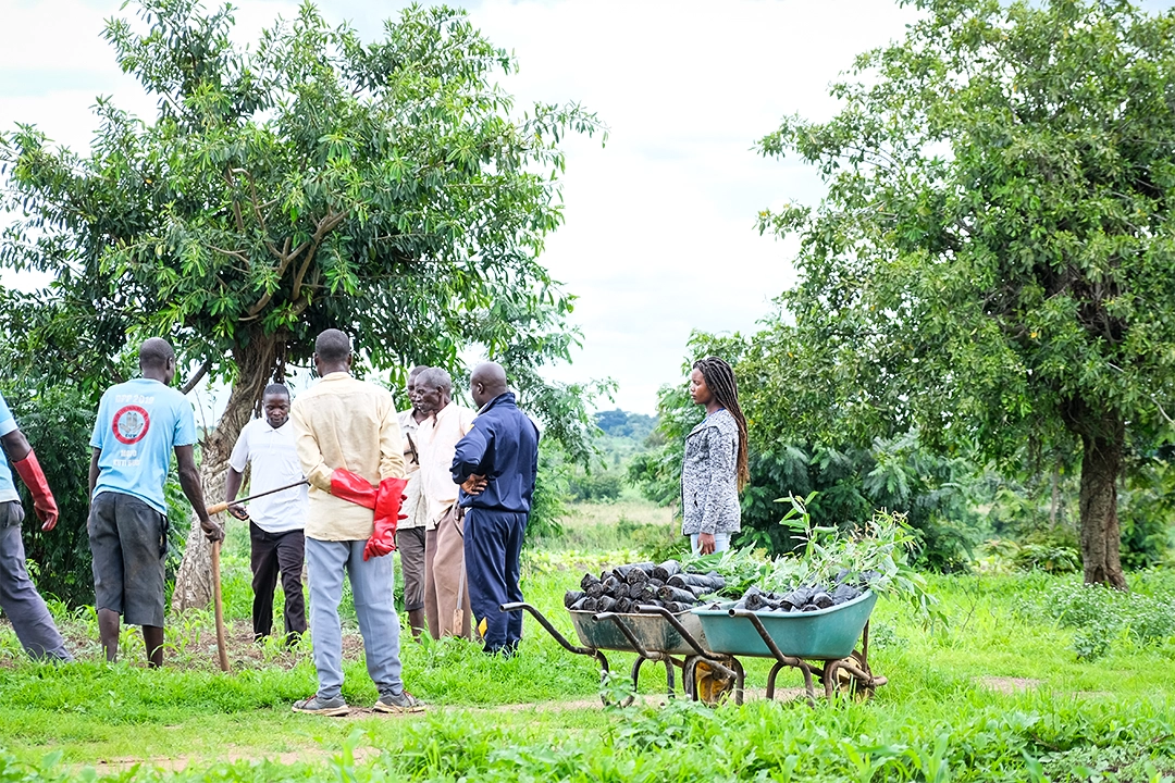 Villagers outside with a wheelbarrow planing new trees.