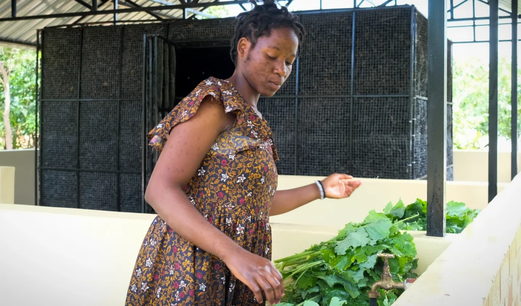 Women washing greens in front of the new Preservation building evaporative cooling wall.