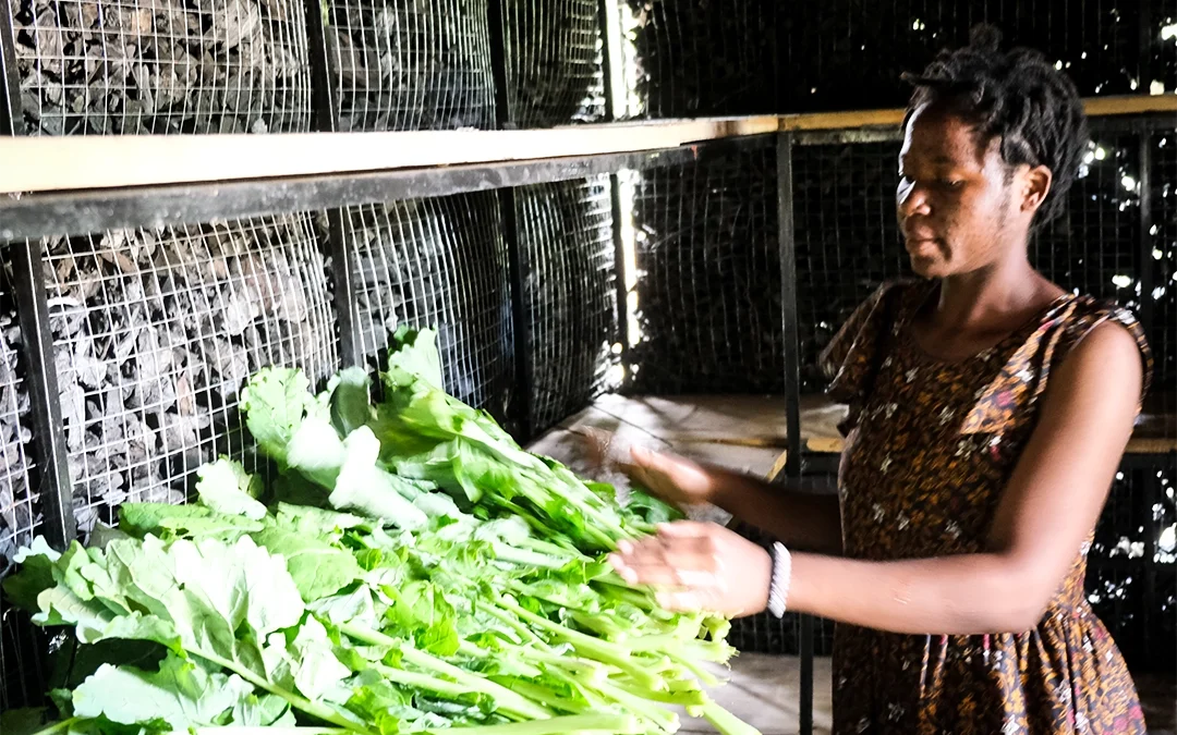 Stories from the Farm.