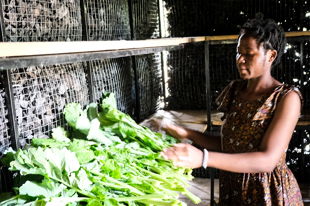 Kuwala-Preserveration-Building-Charcoal-Wall-DSCF7152