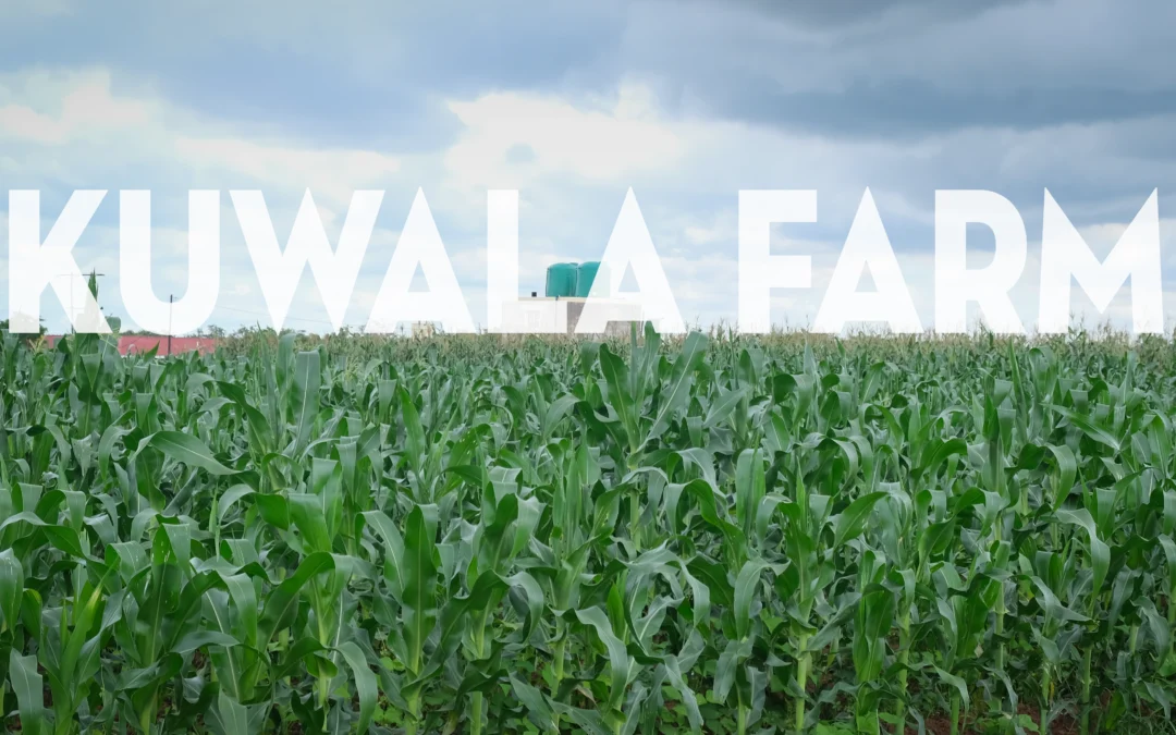 Stories from the Farm.